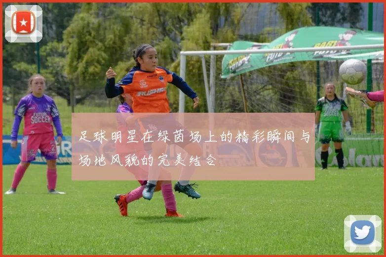 足球明星在绿茵场上的精彩瞬间与场地风貌的完美结合