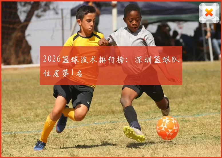 2026篮球技术排行榜：深圳篮球队位居第1名
