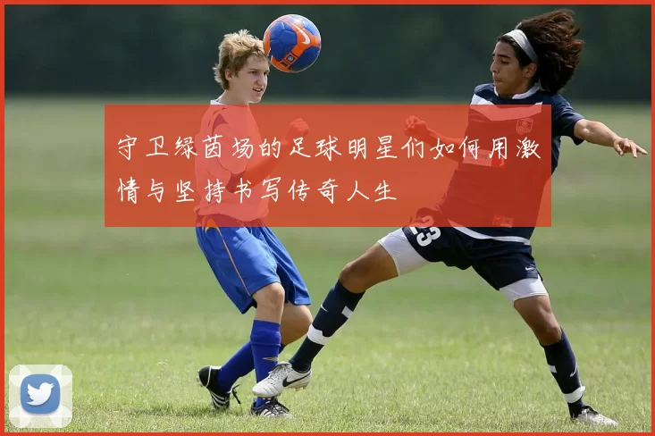 守卫绿茵场的足球明星们如何用激情与坚持书写传奇人生